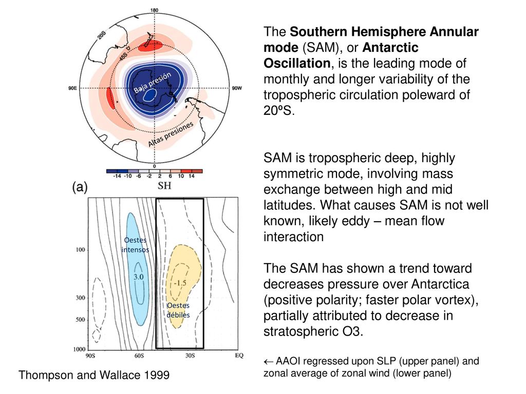 The Southern Hemisphere Annular mode (SAM), or Antarctic Oscillation, is the leading mode of monthly and longer variability of the tropospheric circulation poleward of 20ºS.
