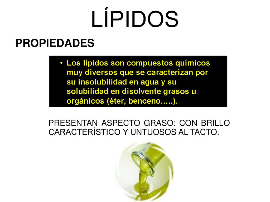 LÍPIDOS PROPIEDADES PRESENTAN ASPECTO GRASO: CON BRILLO CARACTERÍSTICO Y UNTUOSOS AL TACTO.