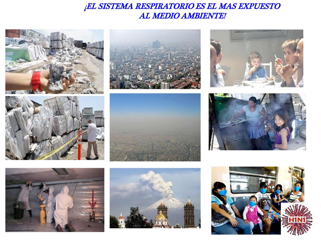 ¡EL SISTEMA RESPIRATORIO ES EL MAS EXPUESTO AL MEDIO AMBIENTE!