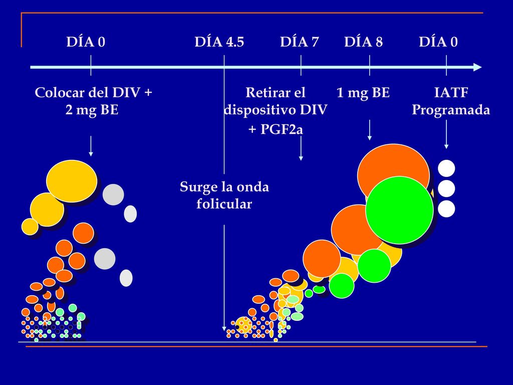 Retirar el dispositivo DIV + PGF2a Surge la onda folicular