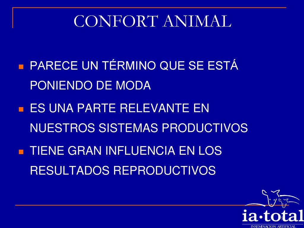 CONFORT ANIMAL PARECE UN TÉRMINO QUE SE ESTÁ PONIENDO DE MODA