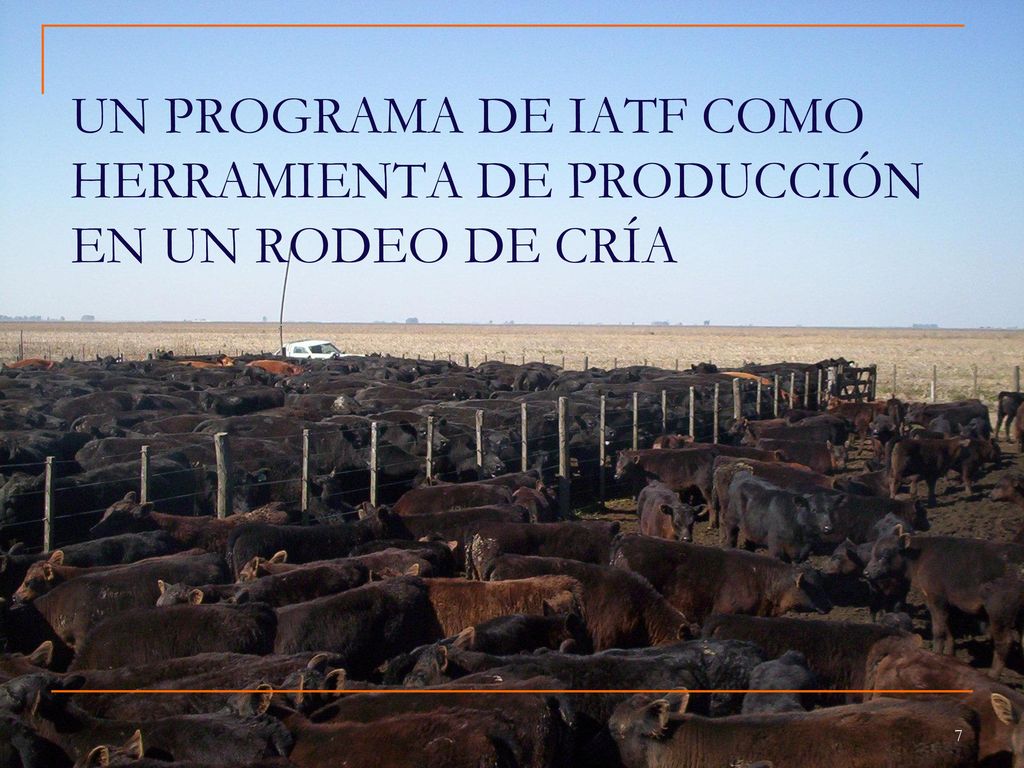 UN PROGRAMA DE IATF COMO HERRAMIENTA DE PRODUCCIÓN EN UN RODEO DE CRÍA