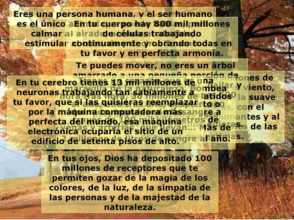 Eres una persona humana, y el ser humano es el único animal que puede hablar, para calmar al airado, animar al abatido, estimular al cobarde y decir... Te amo.