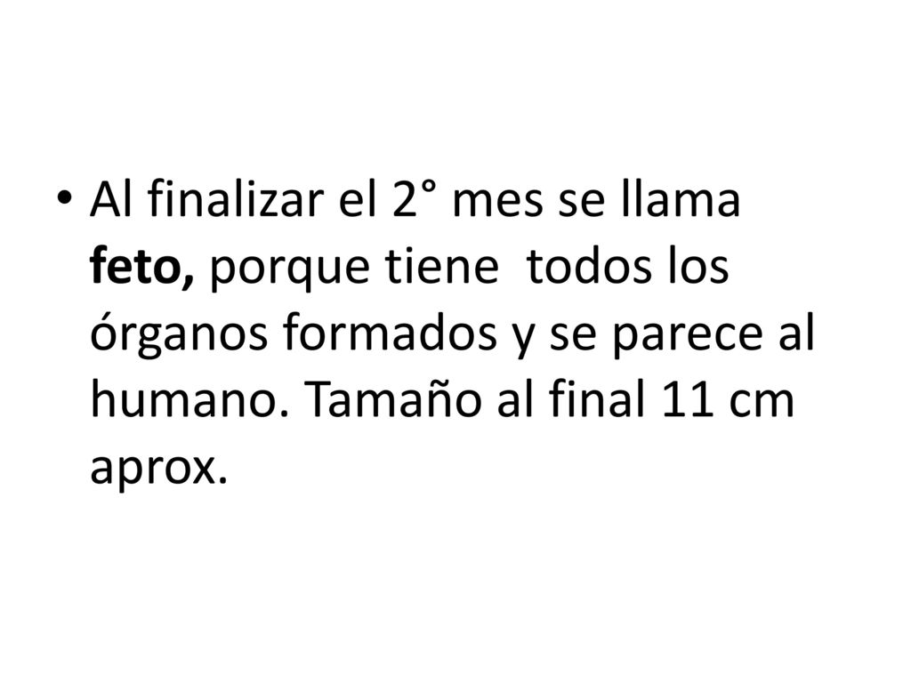 Al finalizar el 2° mes se llama feto, porque tiene todos los órganos formados y se parece al humano.