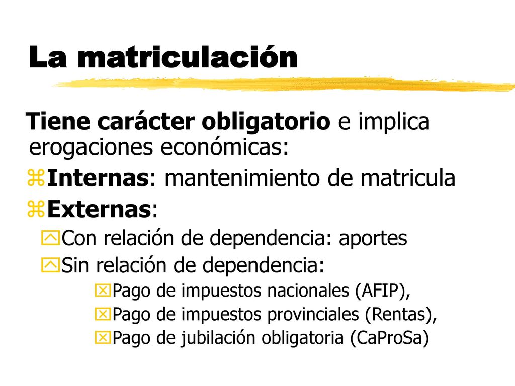 La matriculación Tiene carácter obligatorio e implica erogaciones económicas: Internas: mantenimiento de matricula.