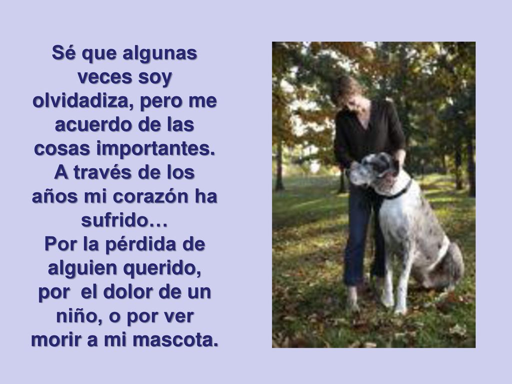 A través de los años mi corazón ha sufrido…