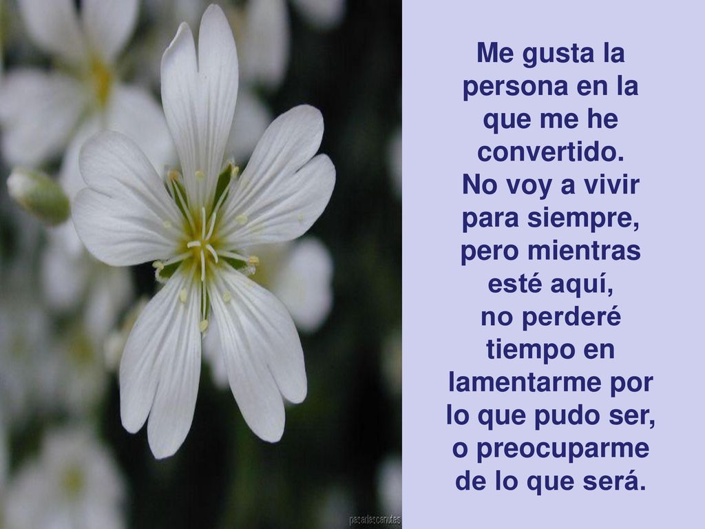 Me gusta la persona en la que me he convertido.