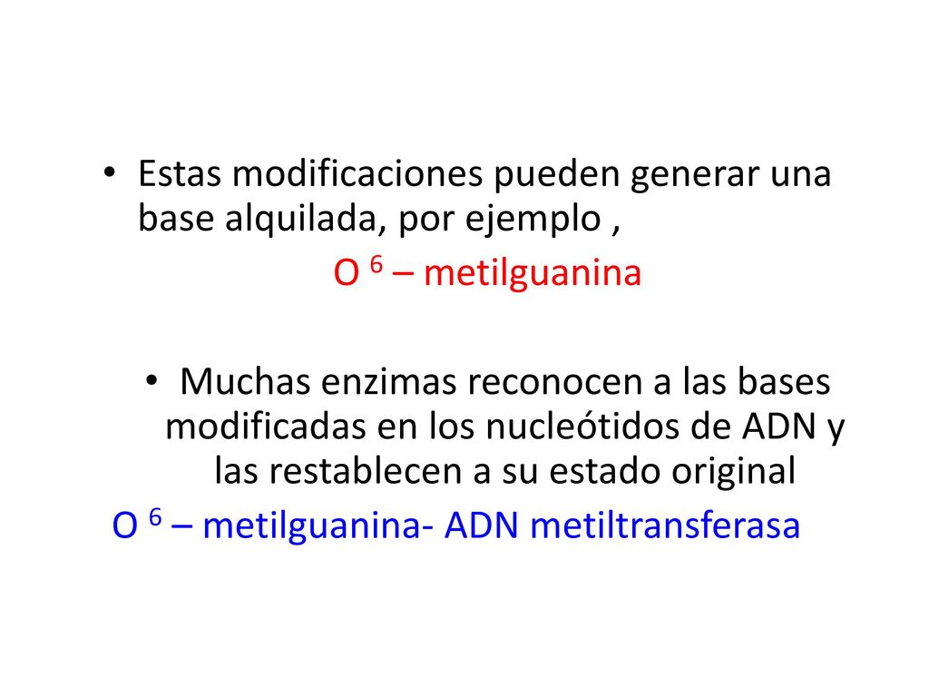 Estas modificaciones pueden generar una base alquilada, por ejemplo ,