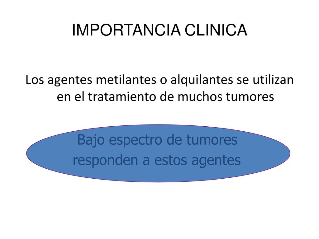 IMPORTANCIA CLINICA Los agentes metilantes o alquilantes se utilizan en el tratamiento de muchos tumores.