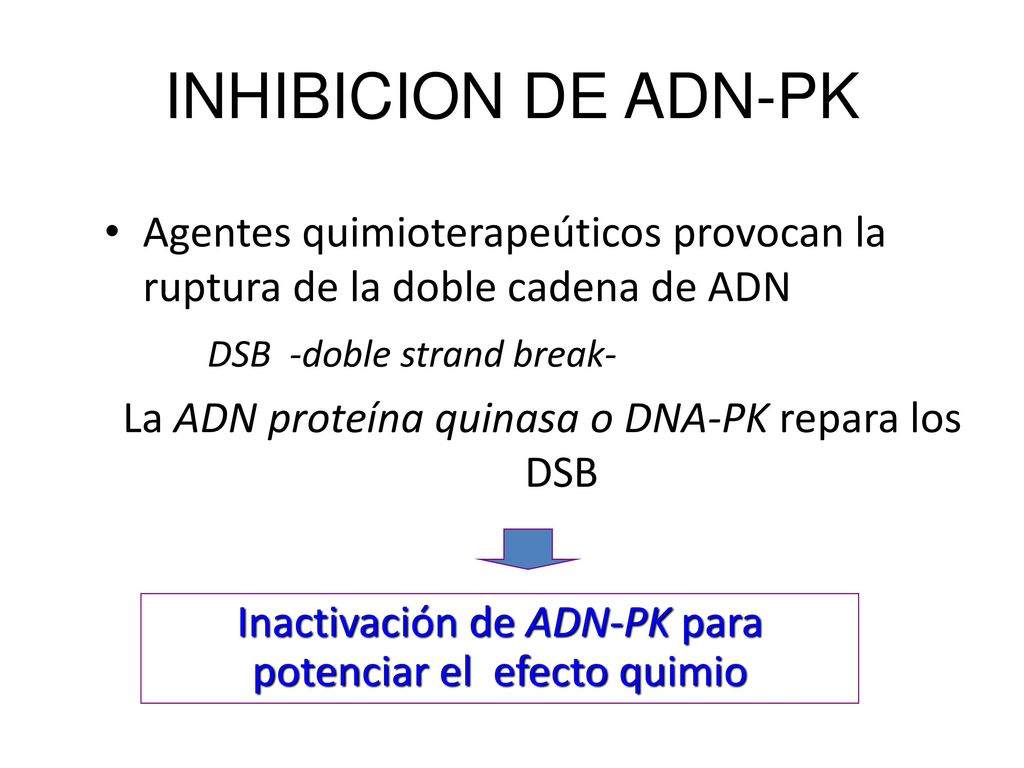 INHIBICION DE ADN-PK Agentes quimioterapeúticos provocan la ruptura de la doble cadena de ADN. DSB -doble strand break-