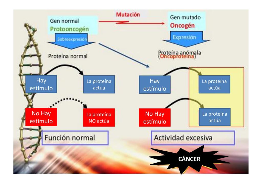 Hay estímulo Hay estímulo No Hay estímulo No Hay estímulo CÁNCER