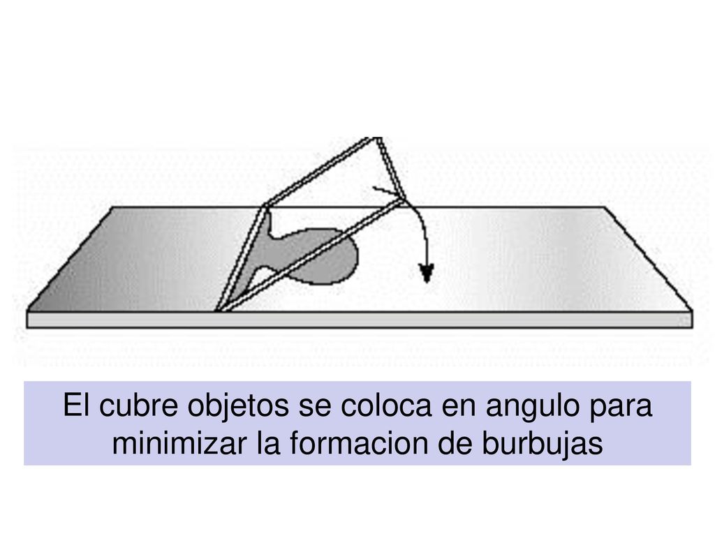 El cubre objetos se coloca en angulo para minimizar la formacion de burbujas