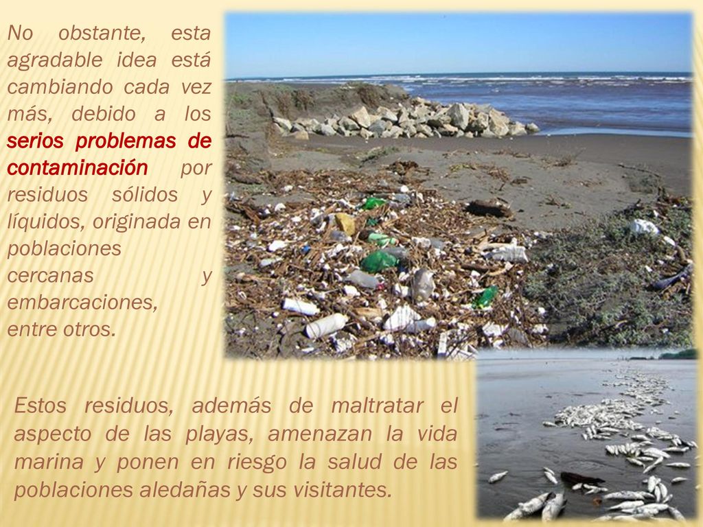No obstante, esta agradable idea está cambiando cada vez más, debido a los serios problemas de contaminación por residuos sólidos y líquidos, originada en poblaciones cercanas y embarcaciones, entre otros.