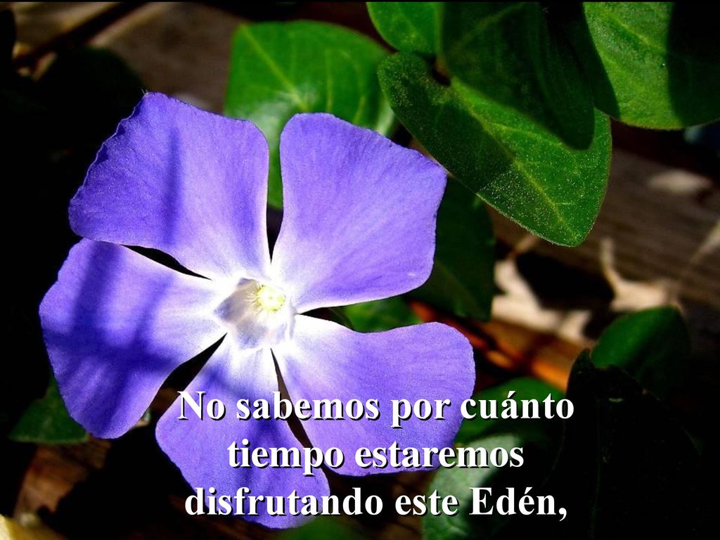 No sabemos por cuánto tiempo estaremos disfrutando este Edén,