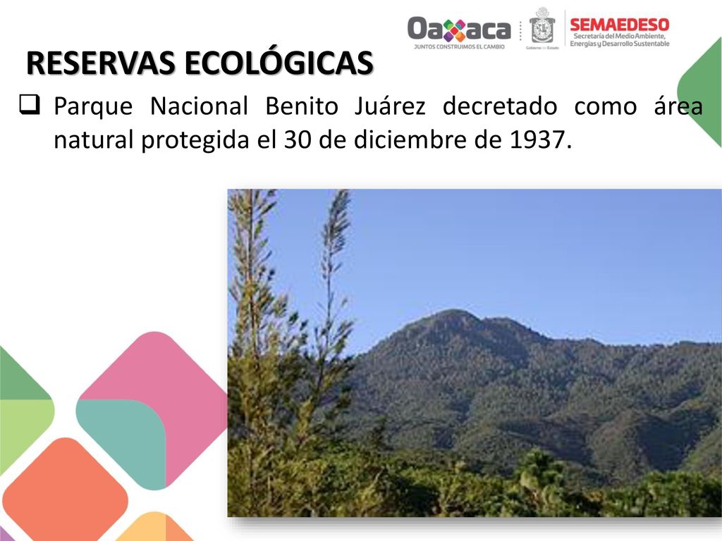 RESERVAS ECOLÓGICAS Parque Nacional Benito Juárez decretado como área natural protegida el 30 de diciembre de