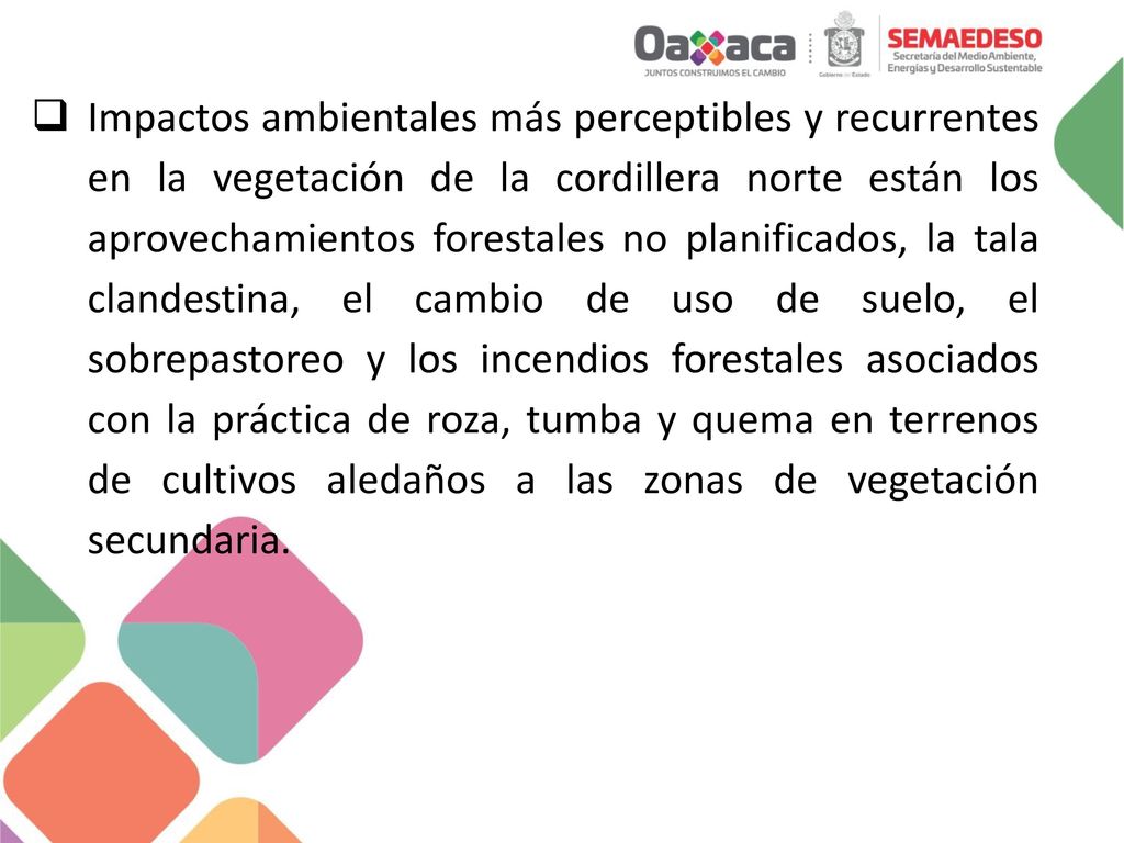 Impactos ambientales más perceptibles y recurrentes en la vegetación de la cordillera norte están los aprovechamientos forestales no planificados, la tala clandestina, el cambio de uso de suelo, el sobrepastoreo y los incendios forestales asociados con la práctica de roza, tumba y quema en terrenos de cultivos aledaños a las zonas de vegetación secundaria.