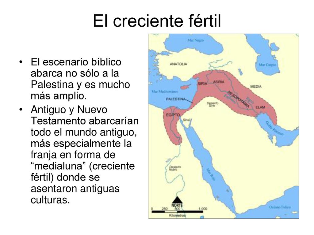 El creciente fértil El escenario bíblico abarca no sólo a la Palestina y es mucho más amplio.