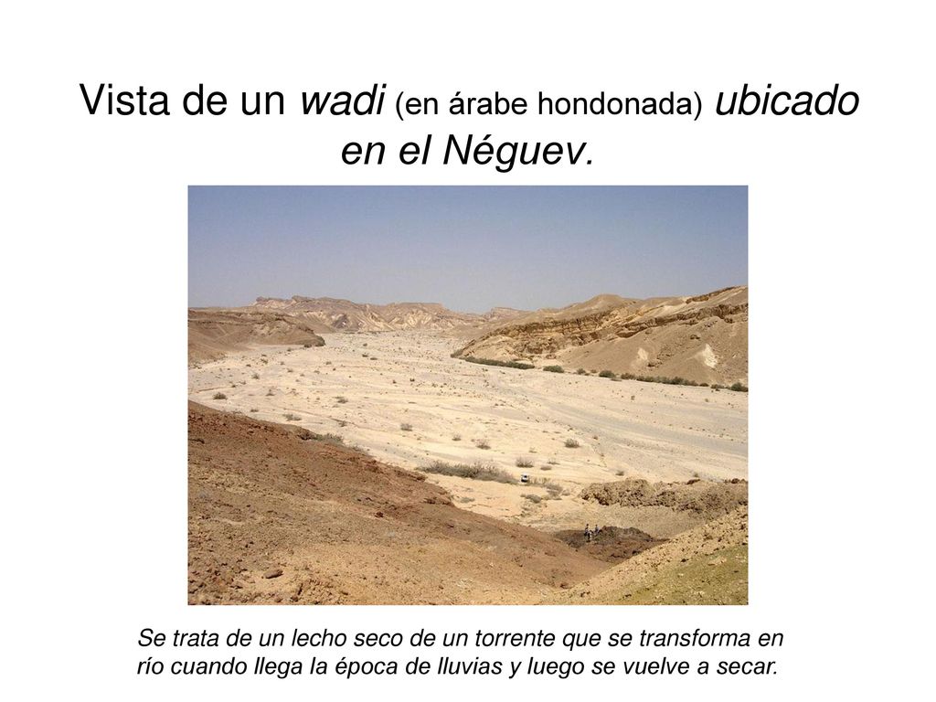 Vista de un wadi (en árabe hondonada) ubicado en el Néguev.