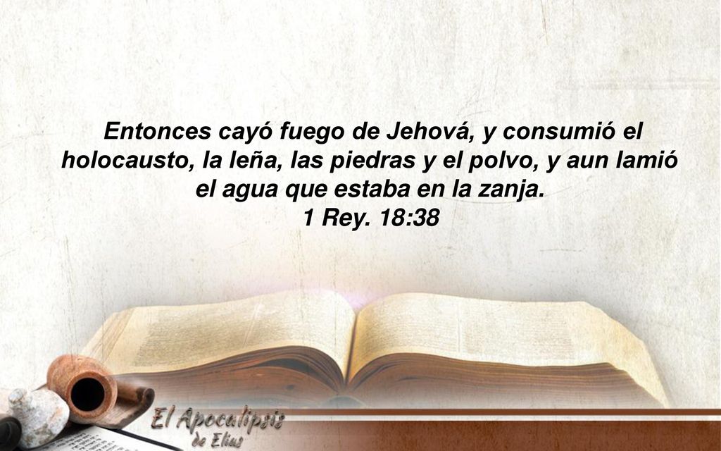 Entonces cayó fuego de Jehová, y consumió el holocausto, la leña, las piedras y el polvo, y aun lamió el agua que estaba en la zanja.