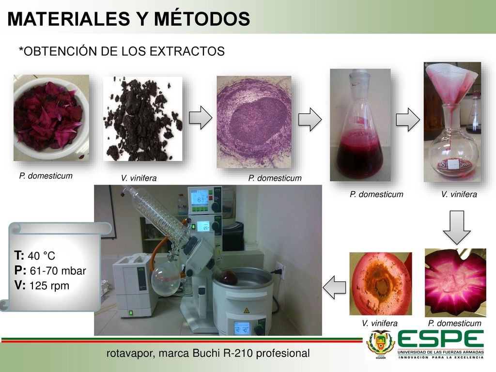 rotavapor, marca Buchi R-210 profesional