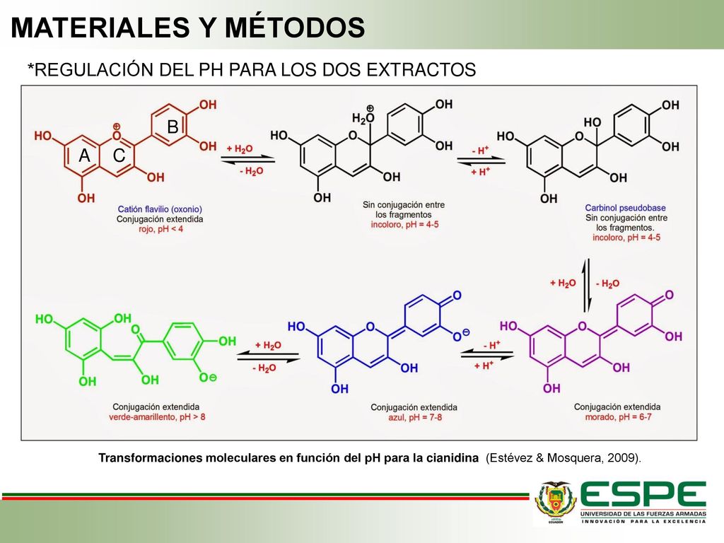 MATERIALES Y MÉTODOS *REGULACIÓN DEL PH PARA LOS DOS EXTRACTOS B A C