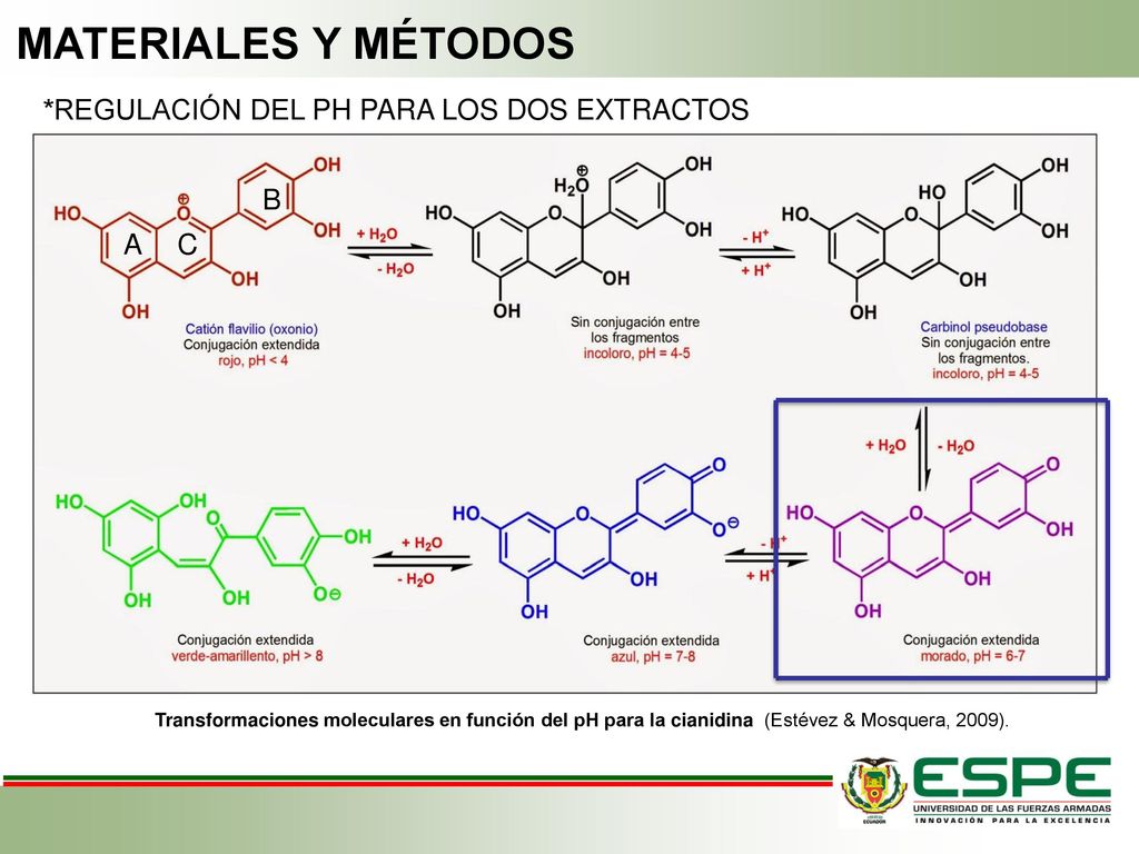 MATERIALES Y MÉTODOS *REGULACIÓN DEL PH PARA LOS DOS EXTRACTOS B A C