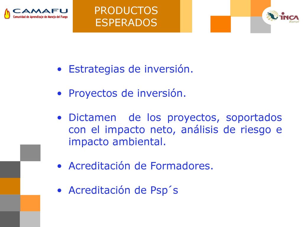 PRODUCTOS ESPERADOS Estrategias de inversión. Proyectos de inversión.
