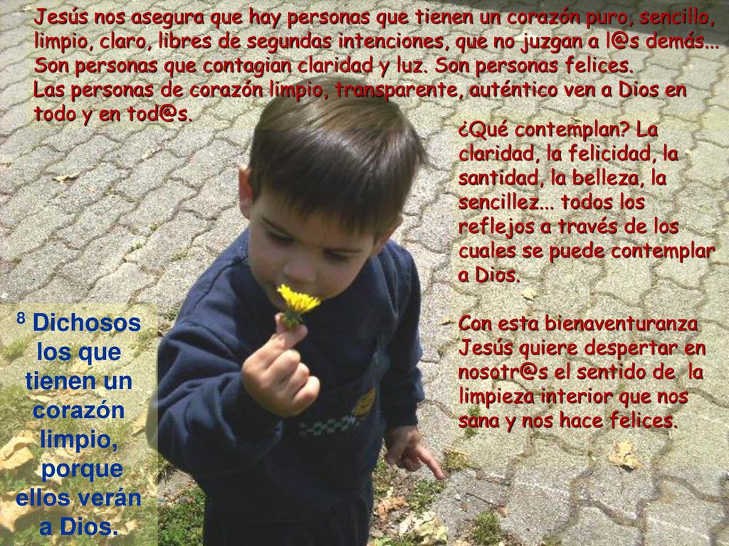 Jesús nos asegura que hay personas que tienen un corazón puro, sencillo, limpio, claro, libres de segundas intenciones, que no juzgan a demás... Son personas que contagian claridad y luz. Son personas felices.