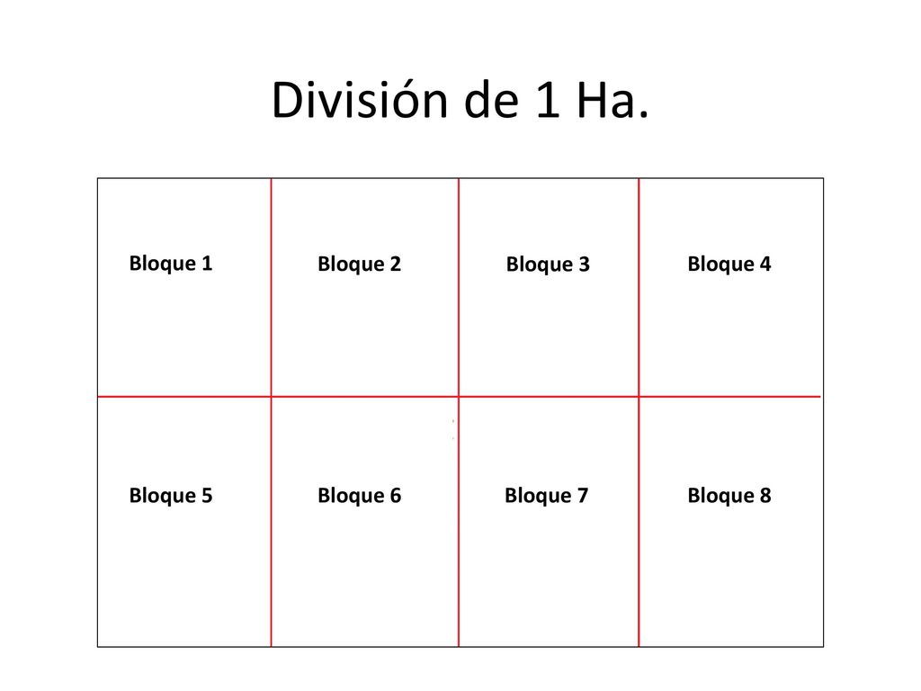 División de 1 Ha. Bloque 1 Bloque 2 Bloque 3 Bloque 4 Bloque 5