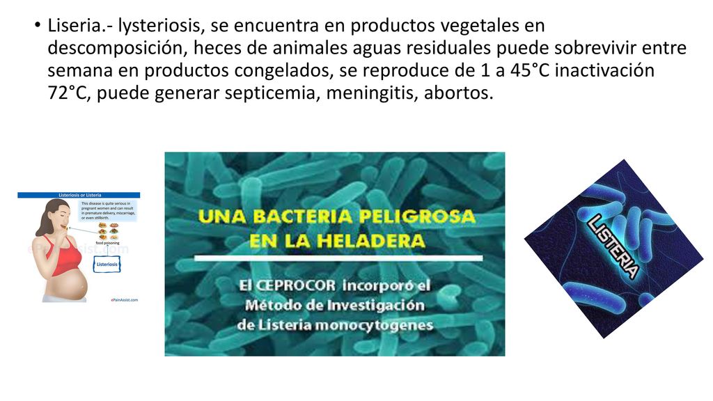 Liseria.- lysteriosis, se encuentra en productos vegetales en descomposición, heces de animales aguas residuales puede sobrevivir entre semana en productos congelados, se reproduce de 1 a 45°C inactivación 72°C, puede generar septicemia, meningitis, abortos.