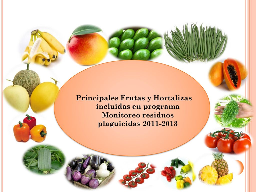 Principales Frutas y Hortalizas incluidas en programa Monitoreo residuos plaguicidas