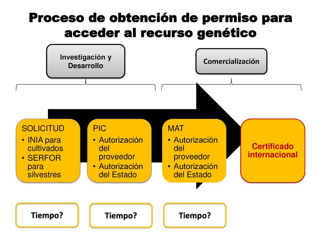 Proceso de obtención de permiso para acceder al recurso genético