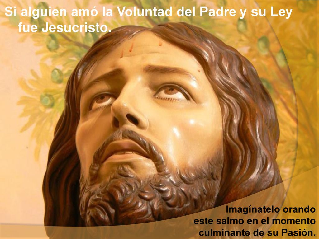 Si alguien amó la Voluntad del Padre y su Ley fue Jesucristo.