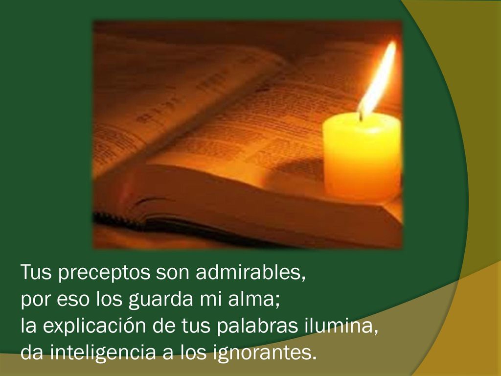 Tus preceptos son admirables, por eso los guarda mi alma; la explicación de tus palabras ilumina, da inteligencia a los ignorantes.