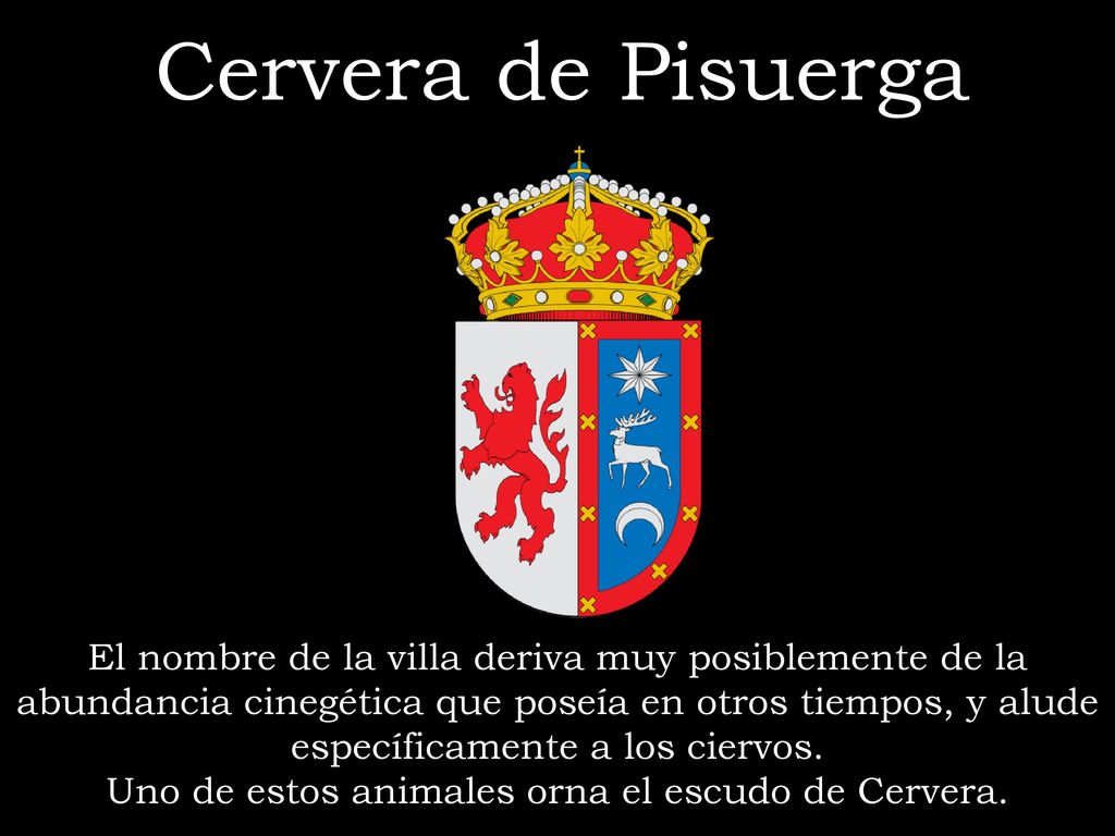 Uno de estos animales orna el escudo de Cervera.