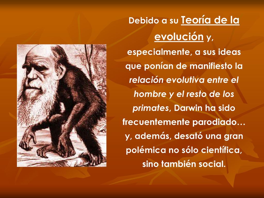 Debido a su Teoría de la evolución y, especialmente, a sus ideas que ponían de manifiesto la relación evolutiva entre el hombre y el resto de los primates, Darwin ha sido frecuentemente parodiado… y, además, desató una gran polémica no sólo científica, sino también social.
