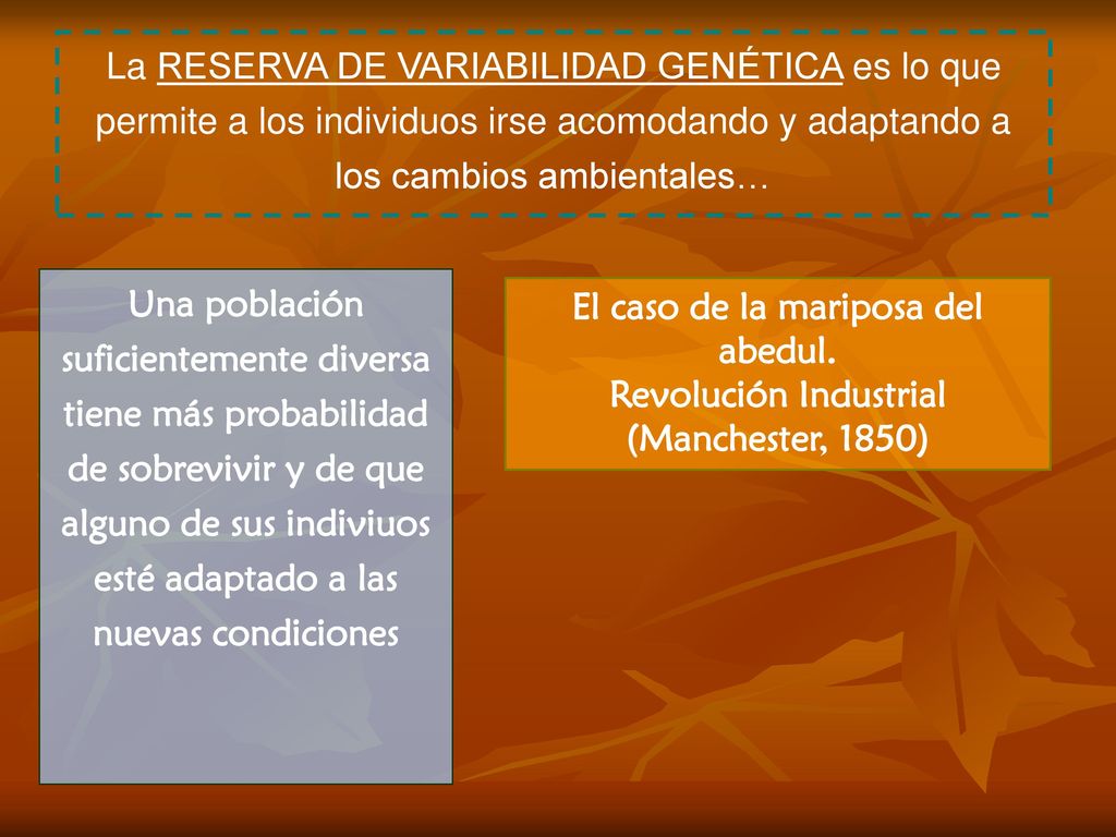 La RESERVA DE VARIABILIDAD GENÉTICA es lo que permite a los individuos irse acomodando y adaptando a los cambios ambientales…