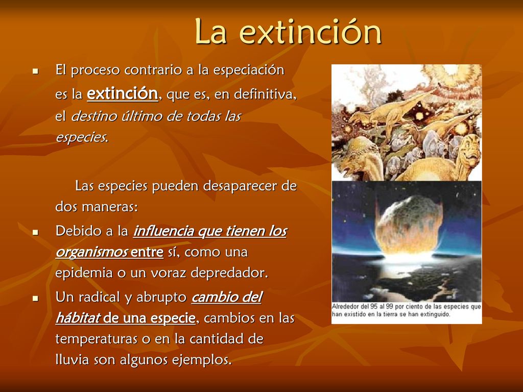 La extinción El proceso contrario a la especiación es la extinción, que es, en definitiva, el destino último de todas las especies.