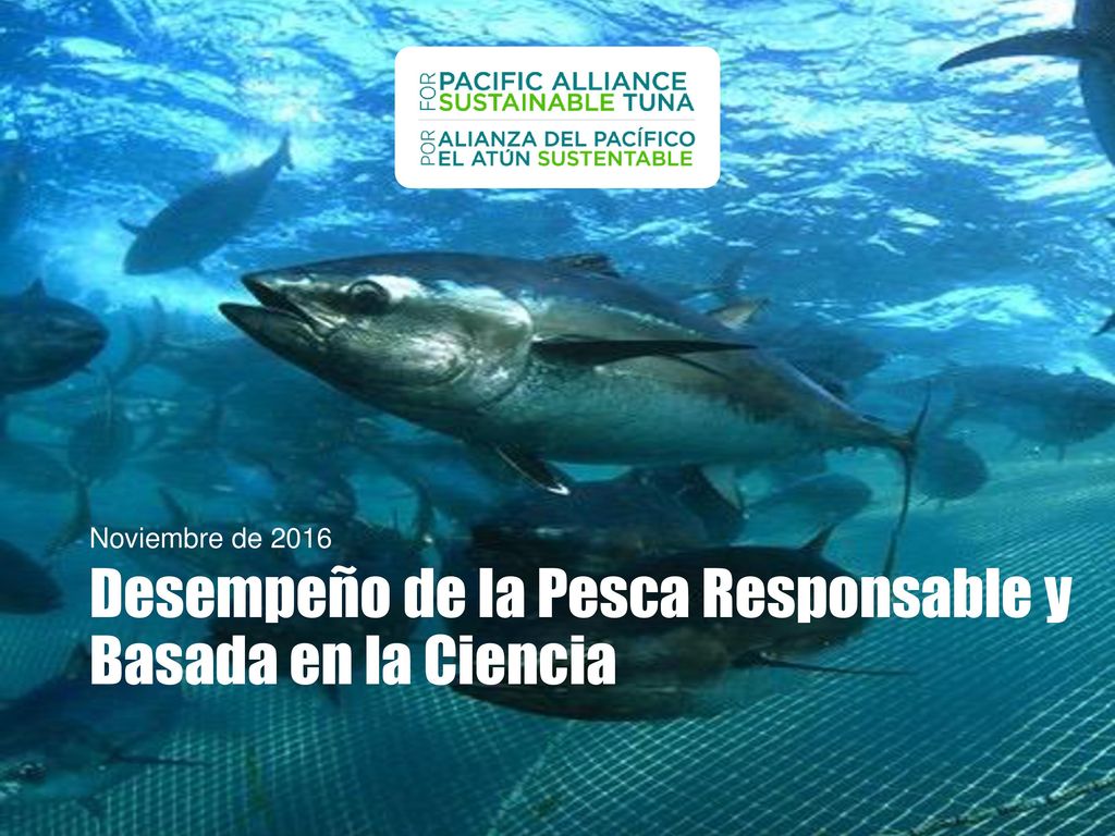 Desempeño de la Pesca Responsable y Basada en la Ciencia