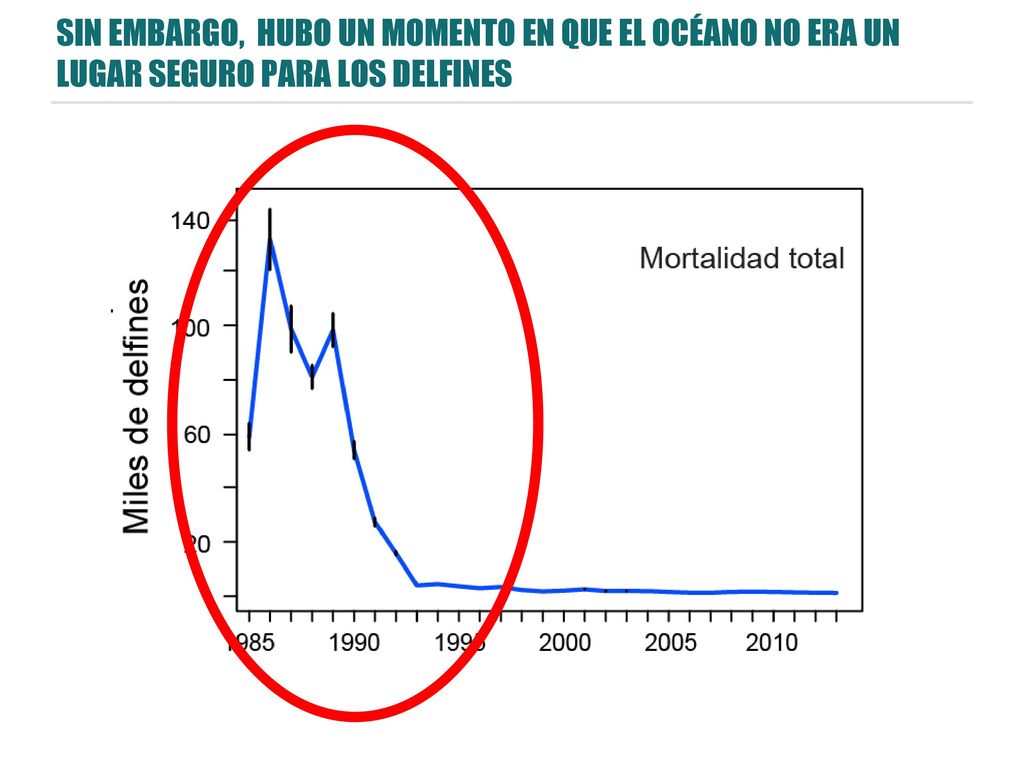 SIN EMBARGO, HUBO UN MOMENTO EN QUE EL OCÉANO NO ERA UN LUGAR SEGURO PARA LOS DELFINES