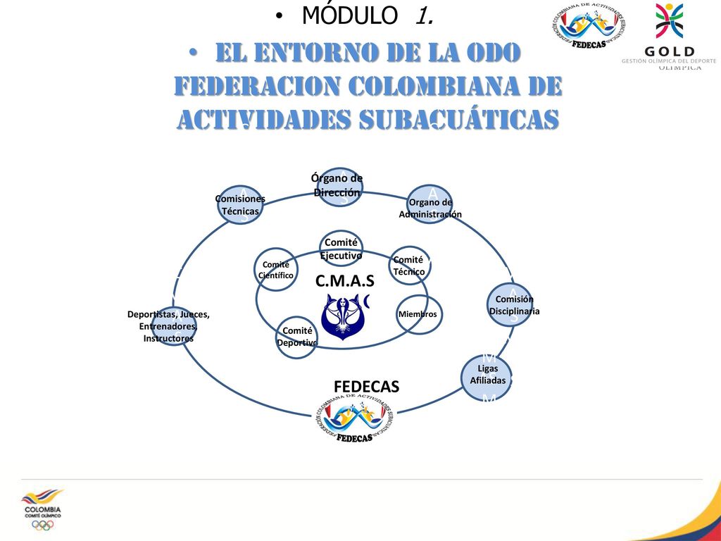 El entorno de la ODO FEDERACION COLOMBIANA de Actividades Subacuáticas