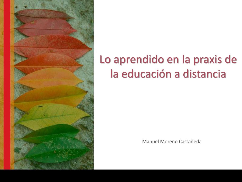 Lo aprendido en la praxis de la educación a distancia