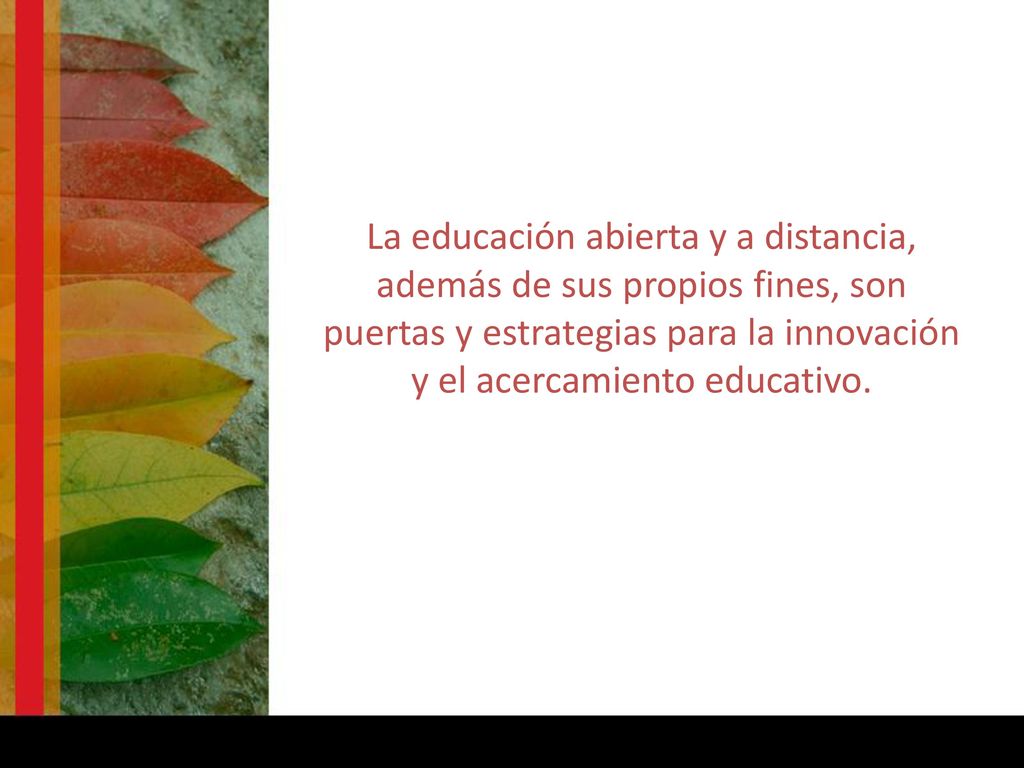 La educación abierta y a distancia, además de sus propios fines, son puertas y estrategias para la innovación y el acercamiento educativo.