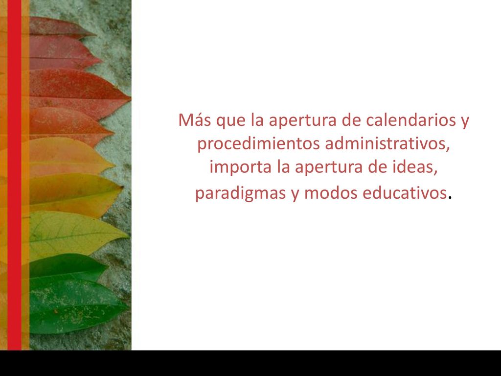 Más que la apertura de calendarios y procedimientos administrativos, importa la apertura de ideas, paradigmas y modos educativos.