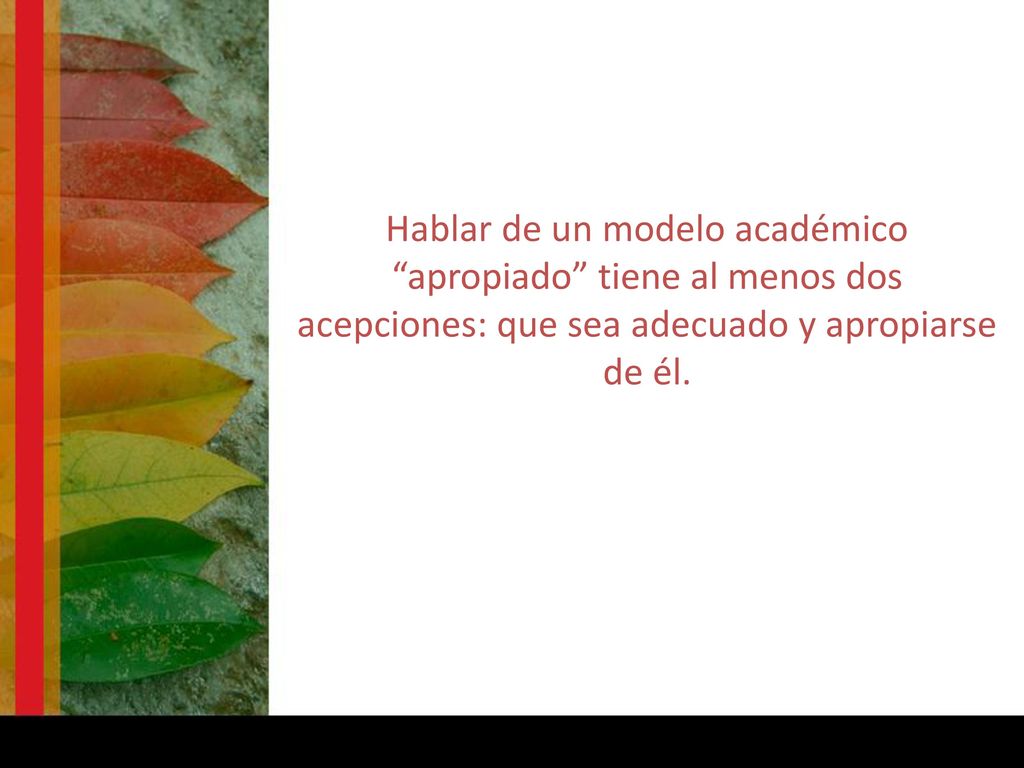 Hablar de un modelo académico apropiado tiene al menos dos acepciones: que sea adecuado y apropiarse de él.