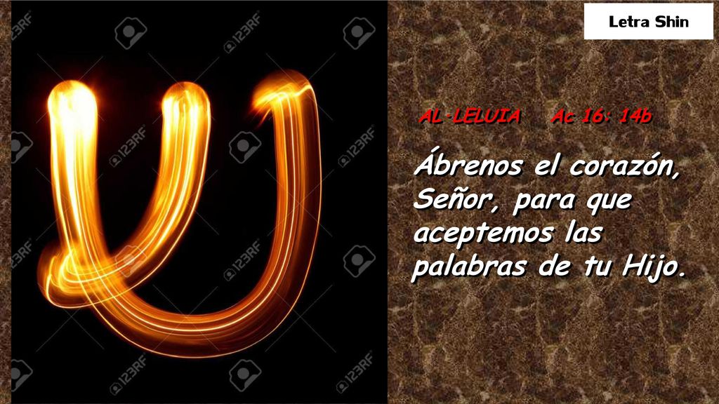 Ábrenos el corazón, Señor, para que aceptemos las palabras de tu Hijo.