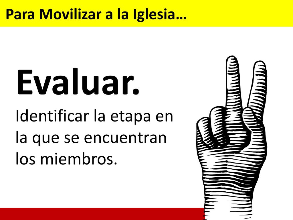 Evaluar. Identificar la etapa en la que se encuentran los miembros.