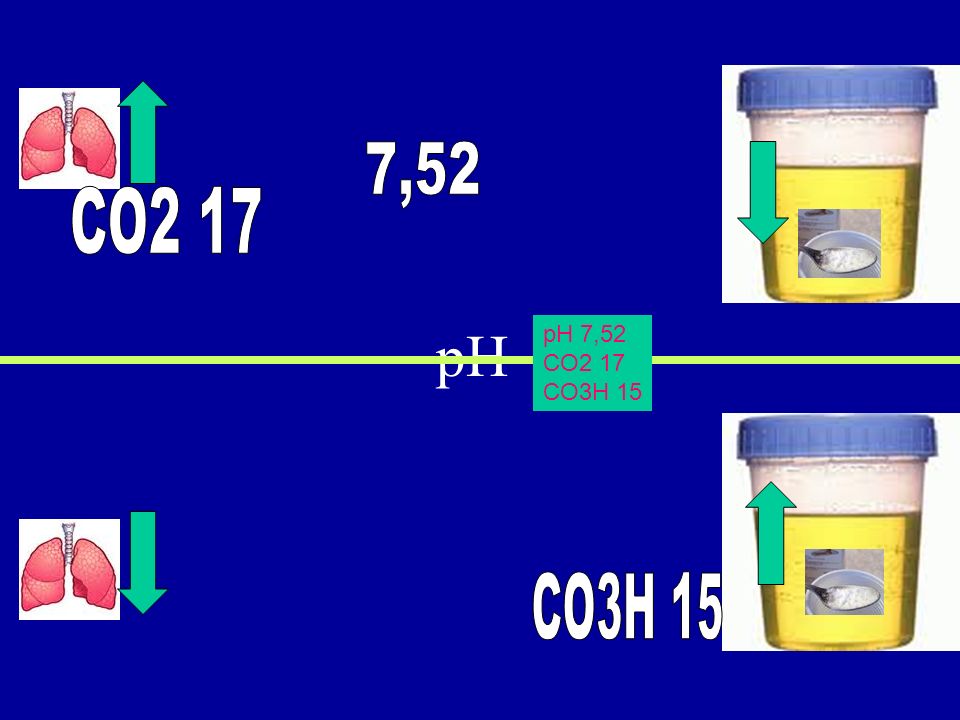 7,52 CO2 17 pH pH 7,52 CO2 17 CO3H 15 CO3H 15