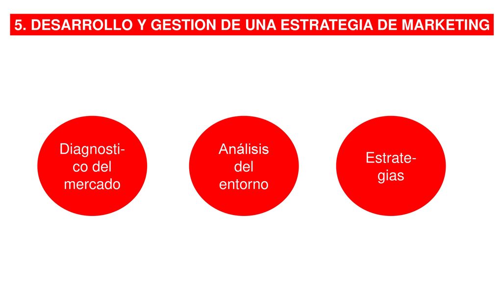 5. DESARROLLO Y GESTION DE UNA ESTRATEGIA DE MARKETING