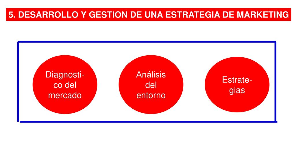 5. DESARROLLO Y GESTION DE UNA ESTRATEGIA DE MARKETING